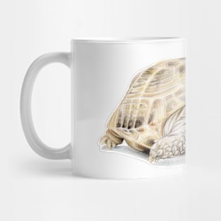 Tortoise Drawing Mug